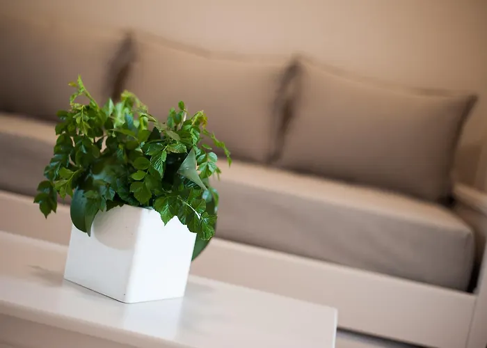 Ilios Hotel, Adults Only Hotel Laganas
