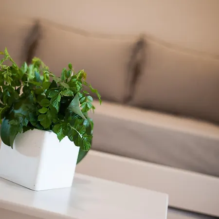 Ilios Hotel, Adults Only Hotell Laganas